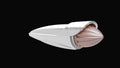 Grokon Torpedo Cab Lights - image 3