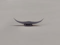 Bull Horns and Mount - 1/25 Scale Body Parts