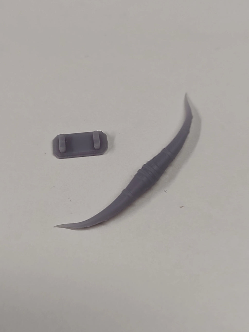 Bull Horns and Mount - image 3