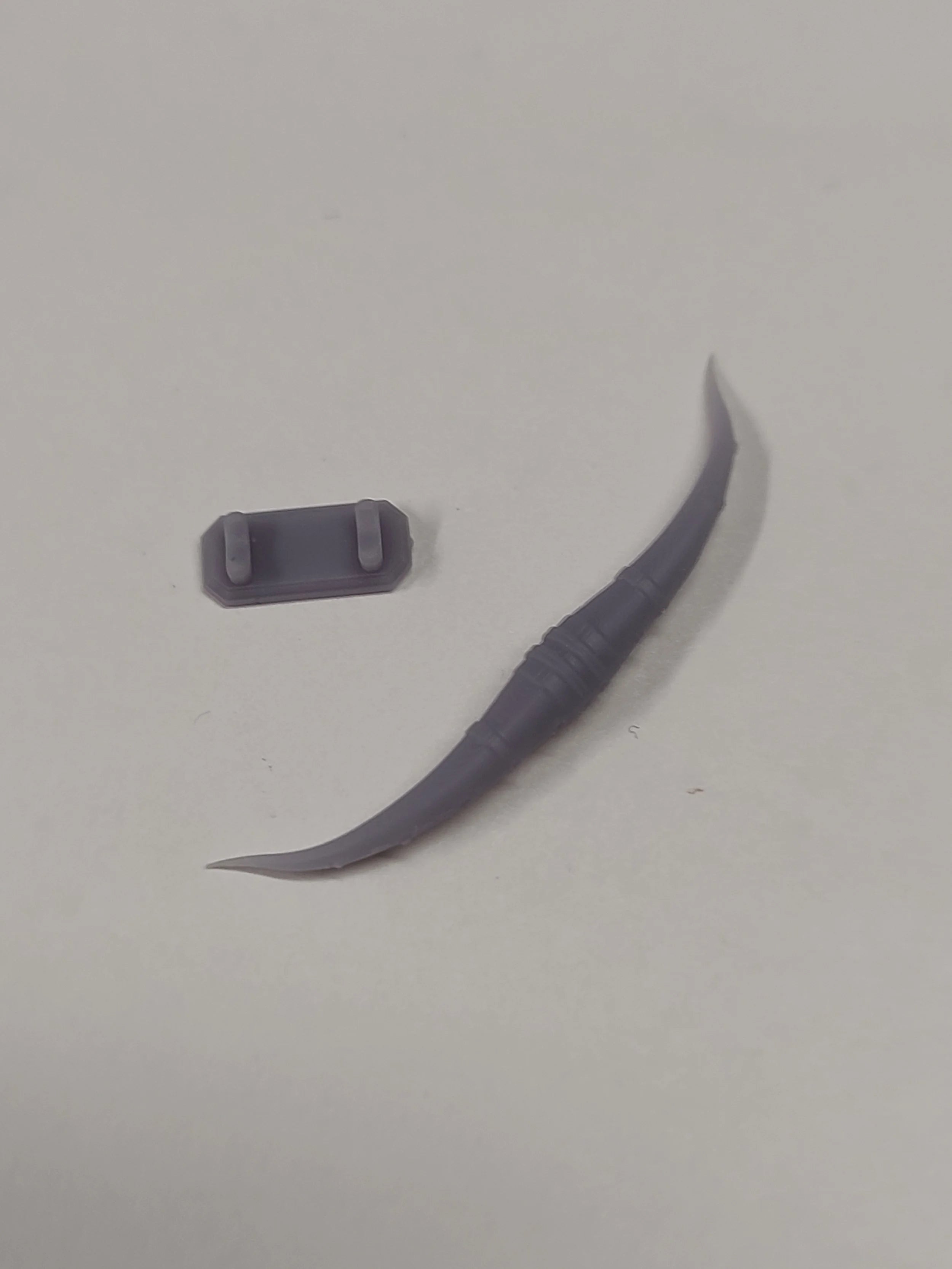 Bull Horns and Mount - image 3
