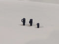 Cups and Mug - 1/25 Scale Diorama, Garage and Tools